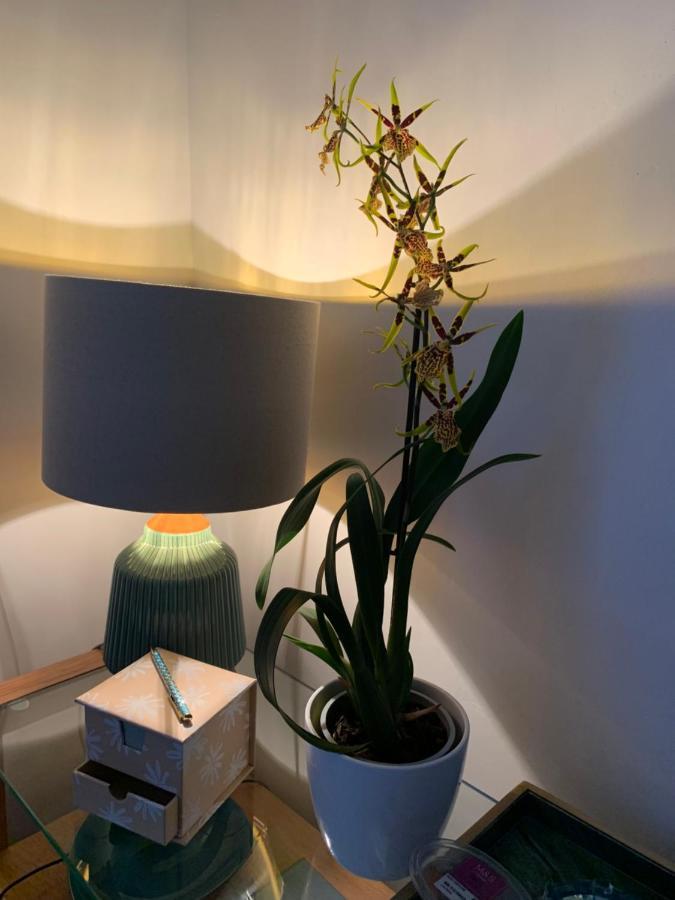 Hideaway Holiday Apartment Salisbury Eksteriør billede